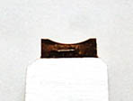 g}
